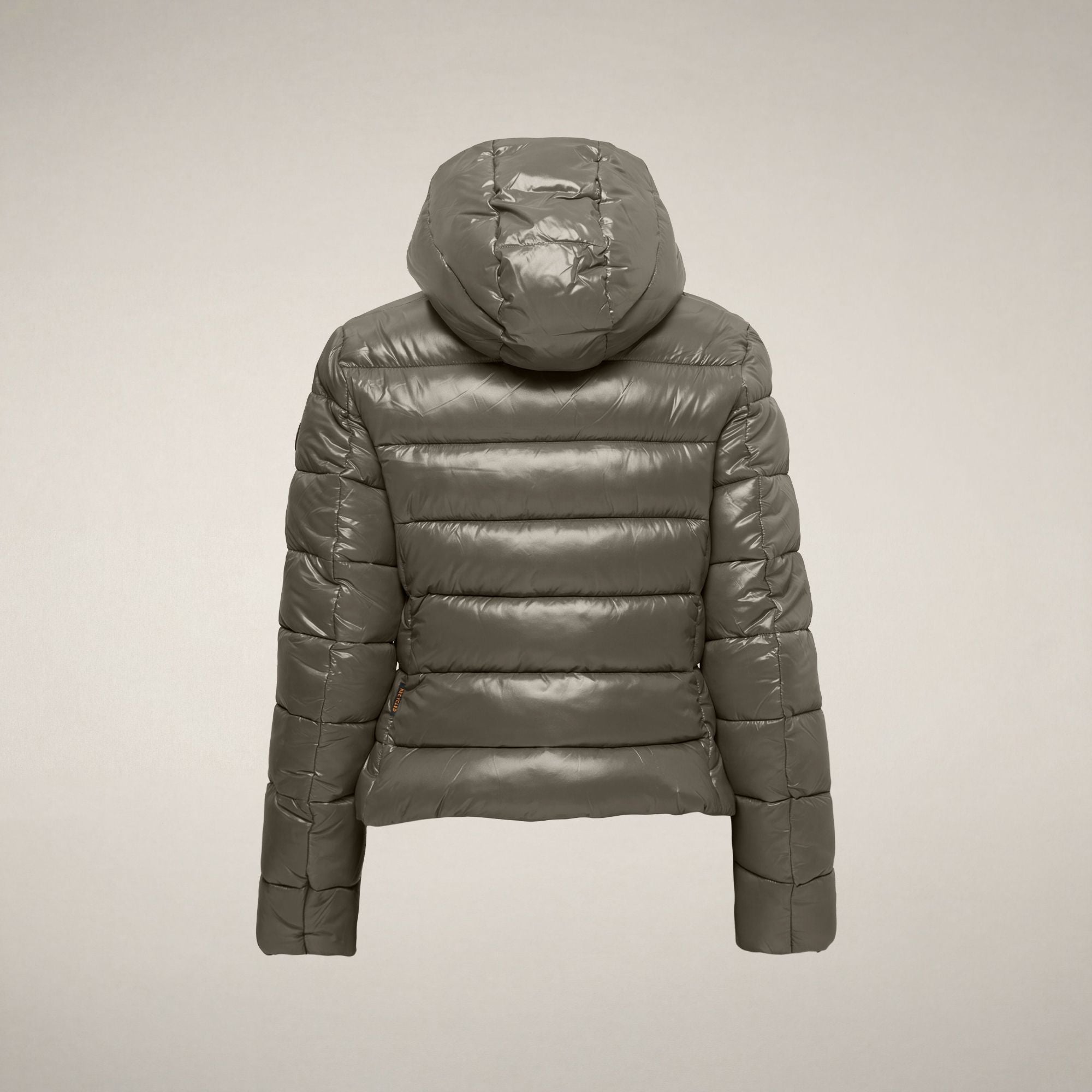 save-the-duck-cosmary-damen-steppjacke-grau-canna-di-fucile-slim-laqu-mit-abnehm image 4