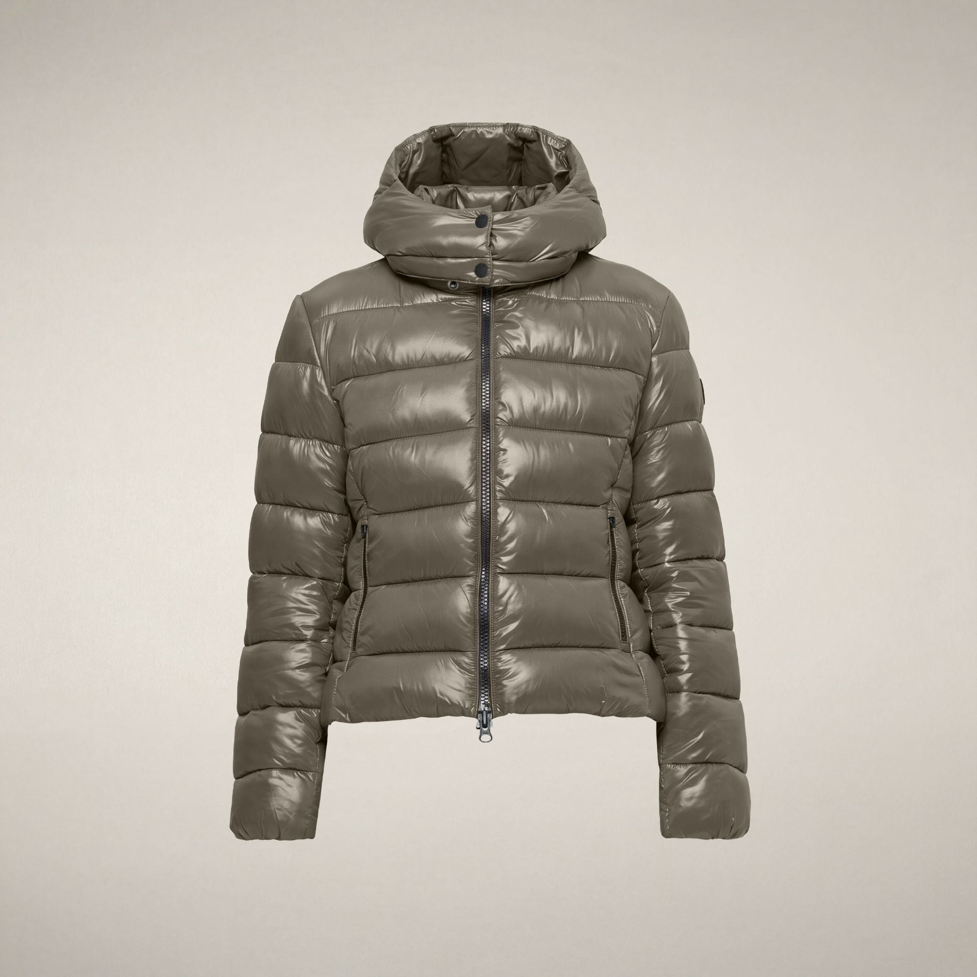 save-the-duck-cosmary-damen-steppjacke-grau-canna-di-fucile-slim-laqu-mit-abnehm image 3