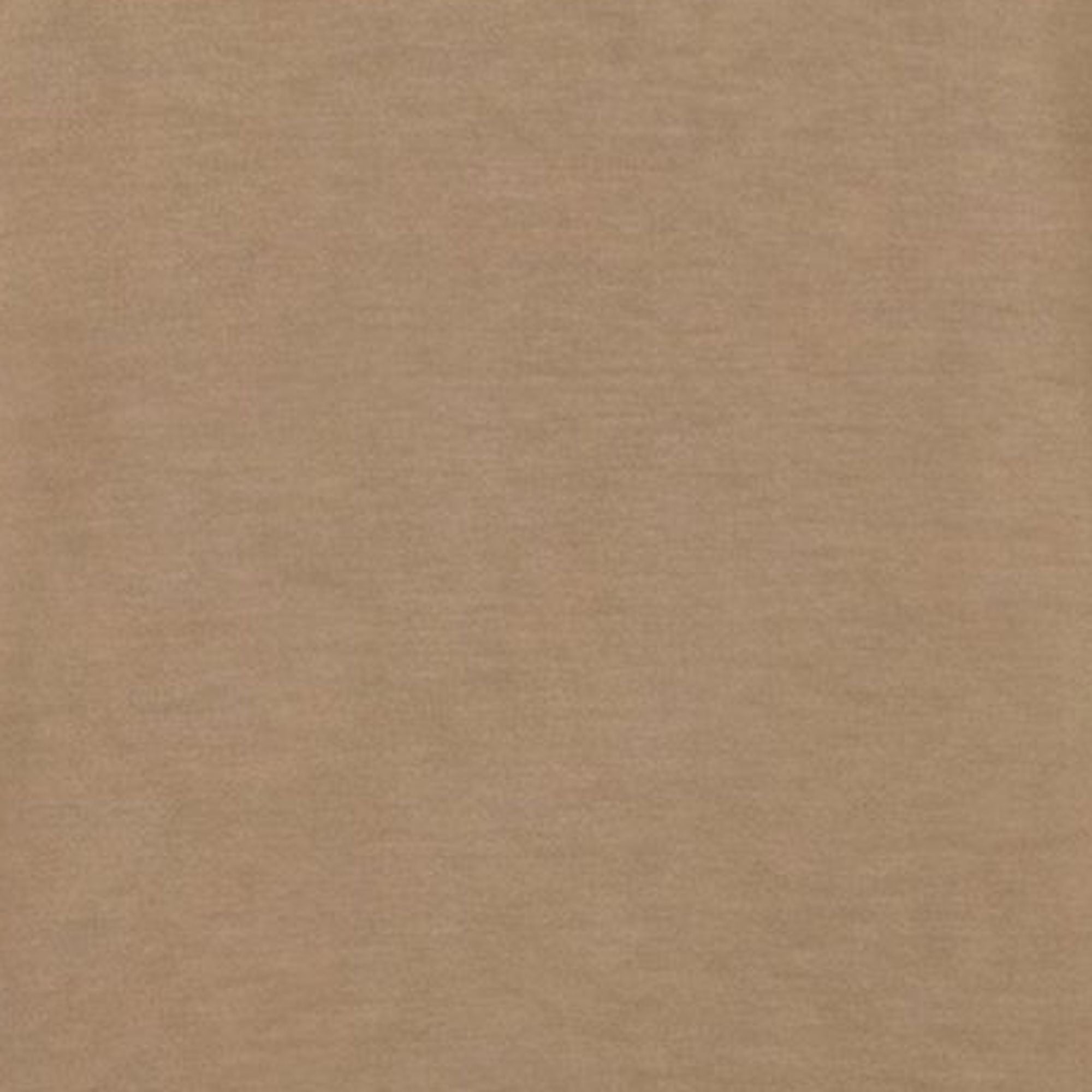 save-the-duck-akemi-sweatshirt-damen-beige-biscotto-rundhals image 6